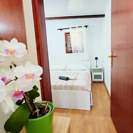 Apartment Venier Rovinj Exterior foto