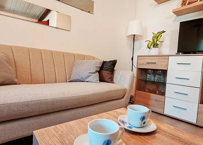 Apartment Venier