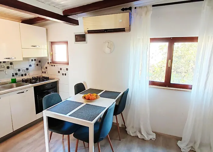 Apartment Venier